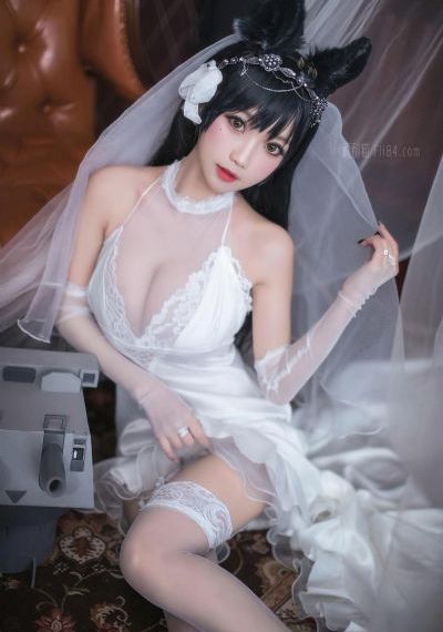 法国啄木乌系列56部