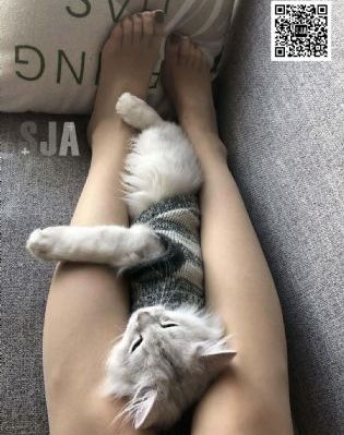 激情合集