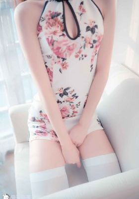 大秦帝国纵横