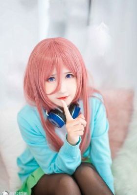 狂野大陆熊出没免费观看完整版