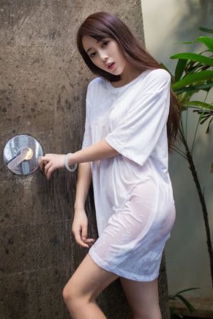 星星舰队