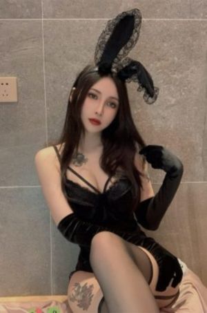 猎罪图鉴免费