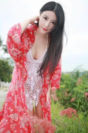 想要成为暗影大人第二季