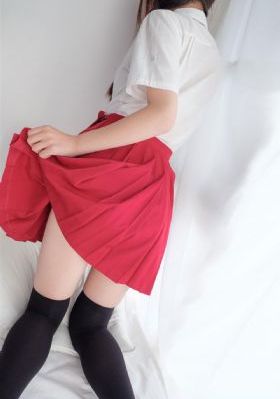 生活大爆炸 第八季